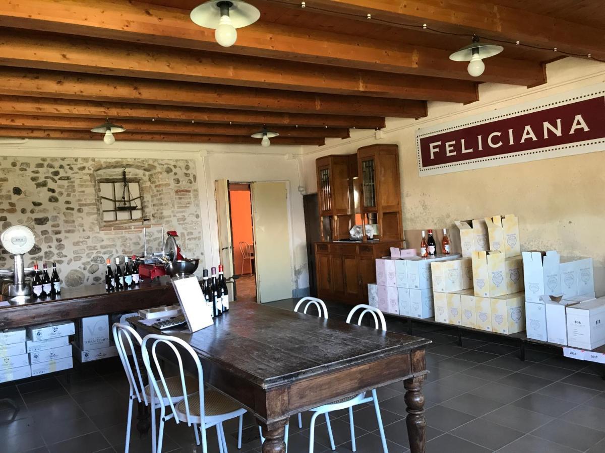Agriturismo Feliciana Pozzolengo Buitenkant foto