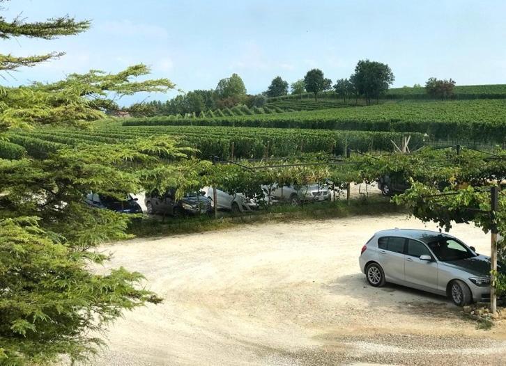 Agriturismo Feliciana Pozzolengo Buitenkant foto