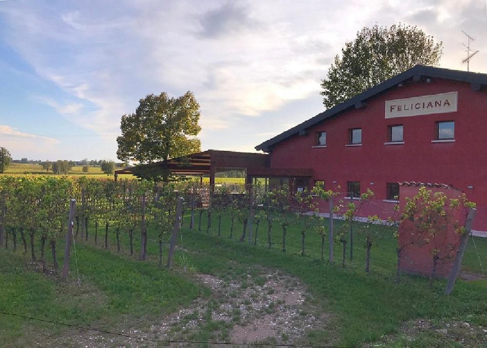 Agriturismo Feliciana Pozzolengo Buitenkant foto