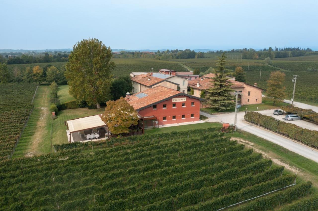 Agriturismo Feliciana Pozzolengo Buitenkant foto