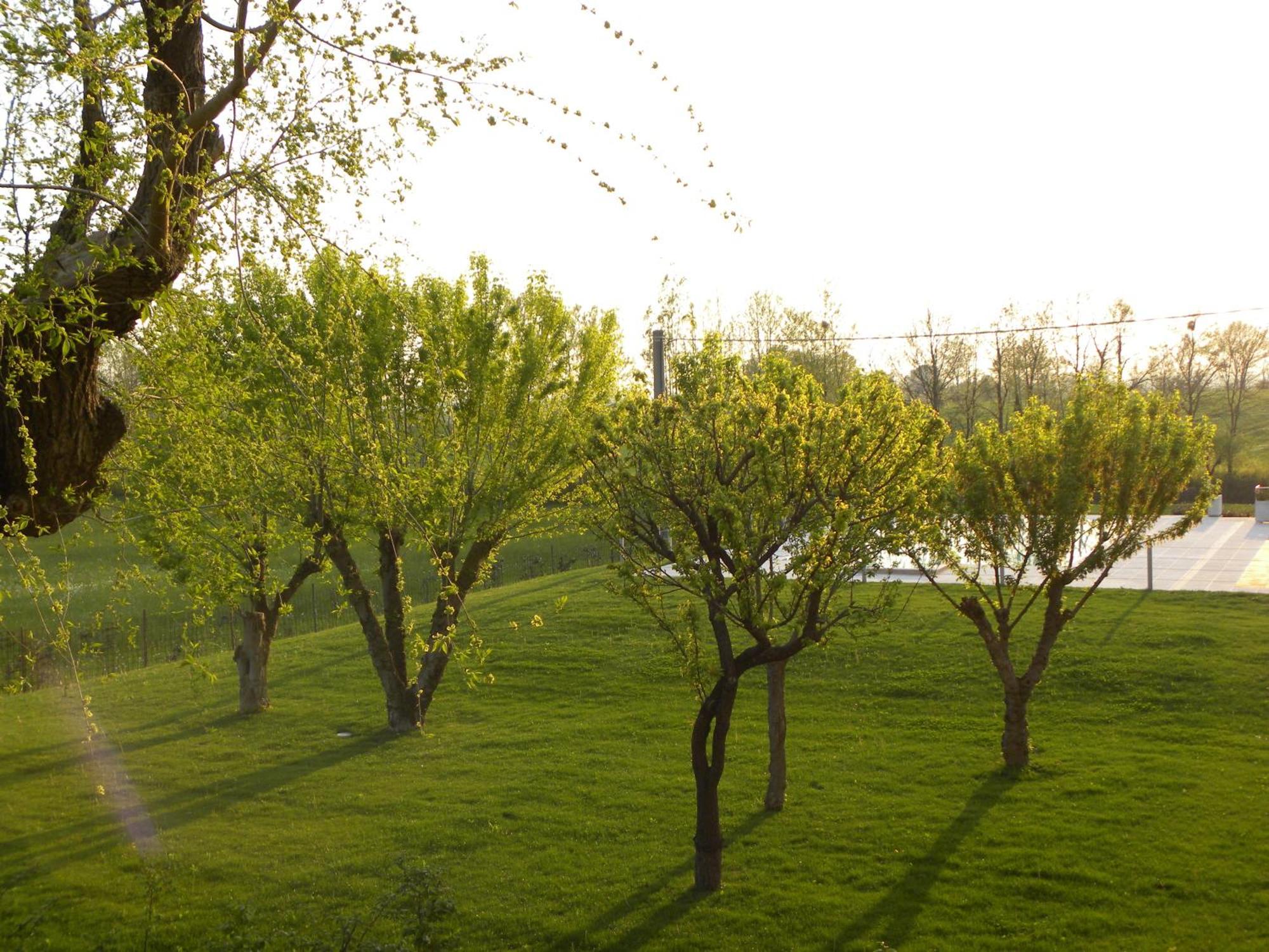 Agriturismo Feliciana Pozzolengo Buitenkant foto